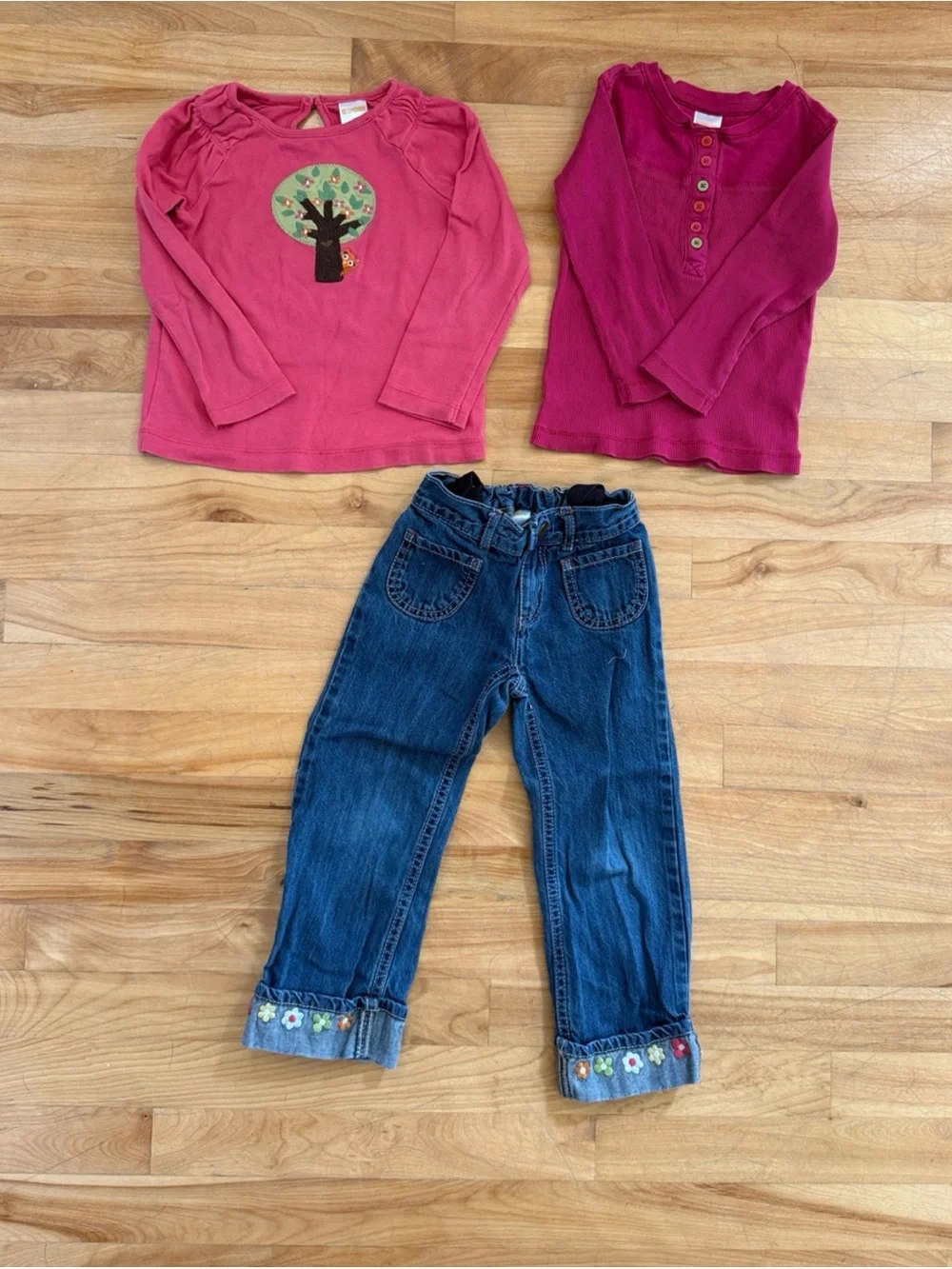 Gymboree Pink and Raspberry Long-Sleeve Tops with Dark Blue Embroidered Jeans